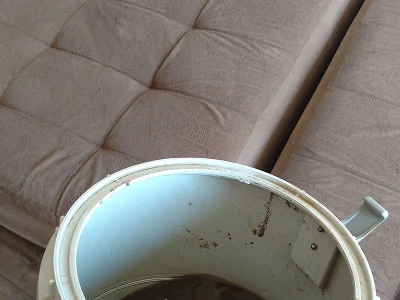 Remoção de manchas em estofado de sofá